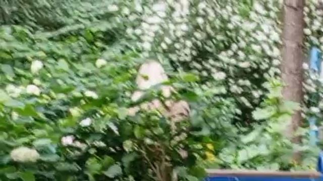 1000008526.mp4444