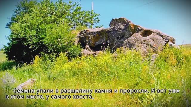 Ставрополь - Александровское ( скала "Дракон" )