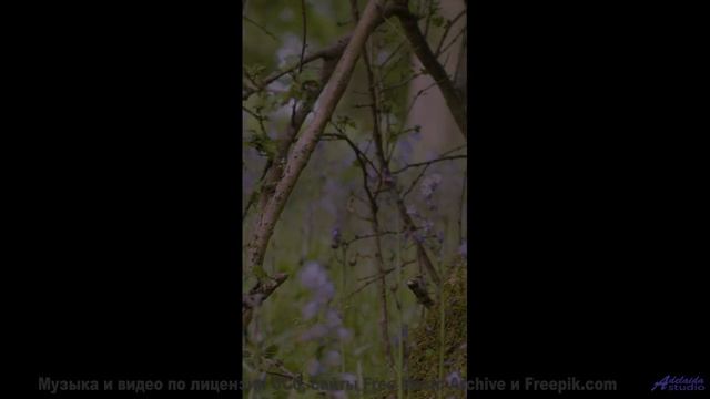 Мелодия, которая пробудит ваши самые глубокие желания! - Take A Breath -- Mr.ruiZ -- Winter Haze, Su