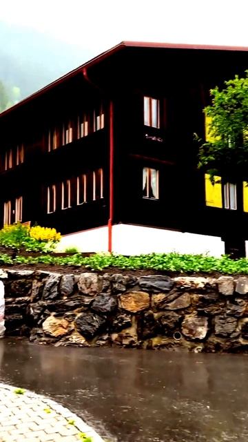 Неожиданные кадры жизни