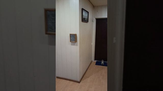 ДЛЯ СУТОЧНО РУ