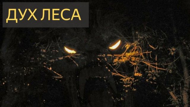 Дух леса (Мистическая история)