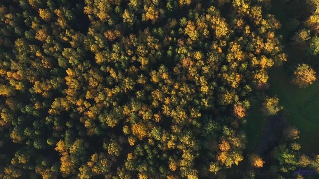 Природа, увиденная глазами искусственного сверхразума - новый взгляд на реальность! - Mixed-Up -- Ke