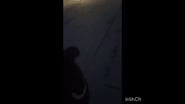 неудача Блэка