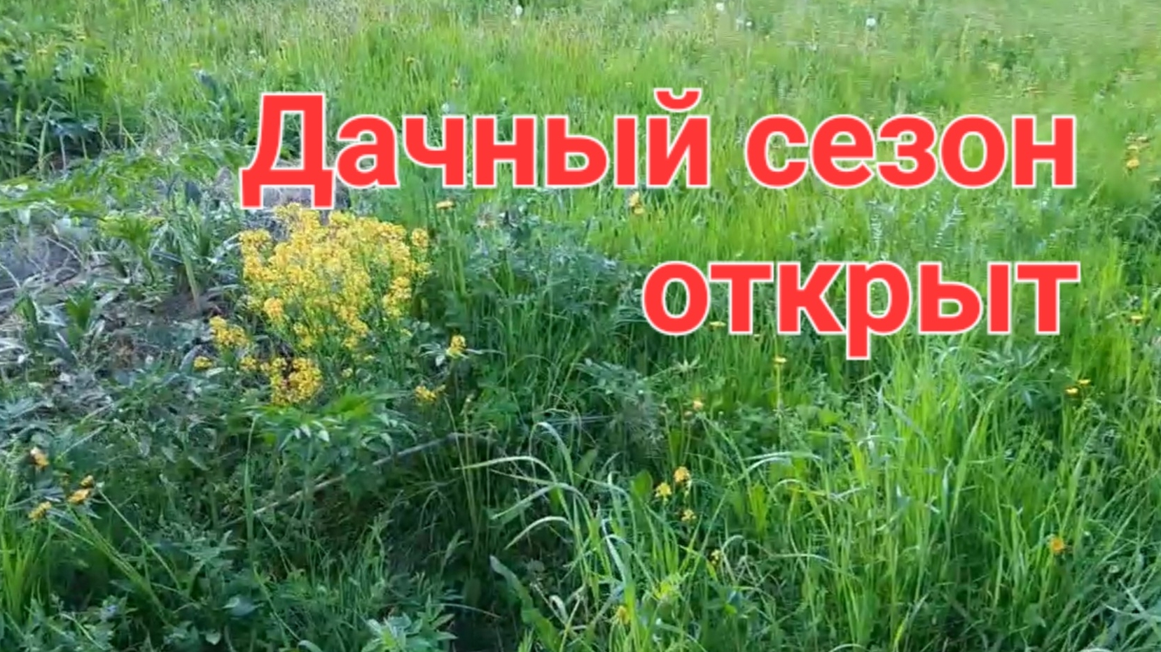 Открытие дачного сезона. // Natalyana S / Натальяна С