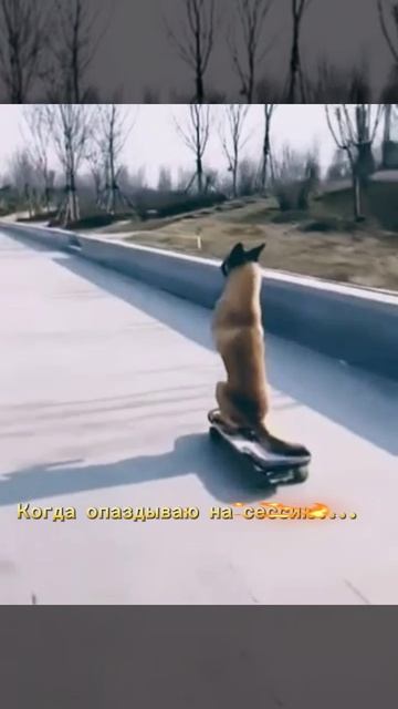 ....😂......
