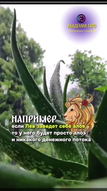 1000015839.mp4