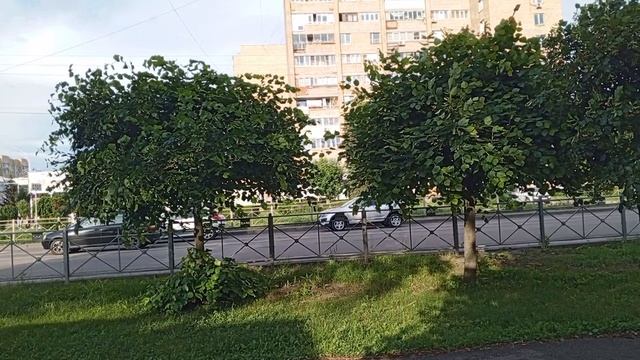 1000008560.mp4