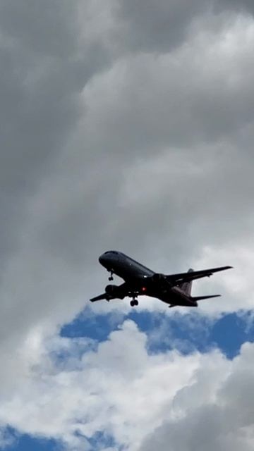 RA-73202 Airbus A319-111 Россия (ГТК) Имя: Владимир.