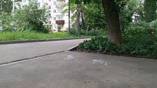 1000008588.mp4