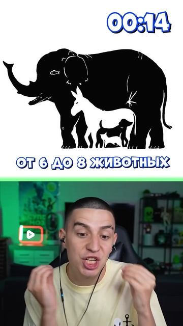 ГЛЕНТ - How many animals do you see in this picture! (1% will see them all)