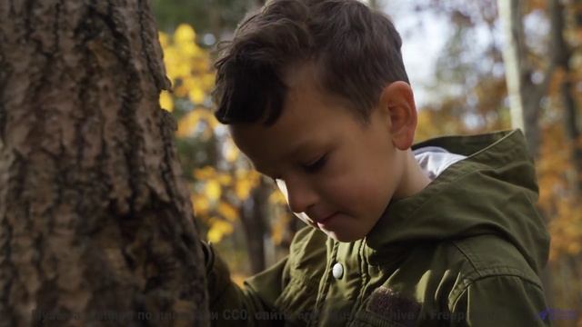 Кадры, снятые через кротовую нору - технологии будущего! - My Little Kingdom -- Golden Duck Orchestr