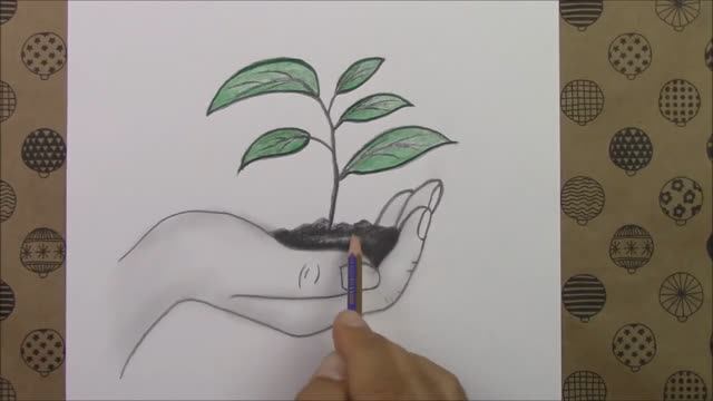 Как нарисовать саженец от руки шаг за шагом карандашом
