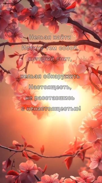 Яна Корнилова
