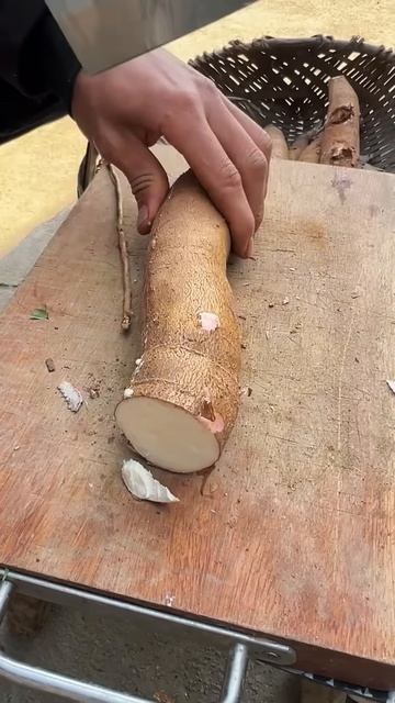 Cut cassava #shorts
