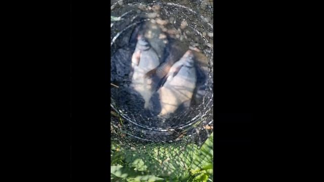 Когда город подождёт: один день с друзьями.