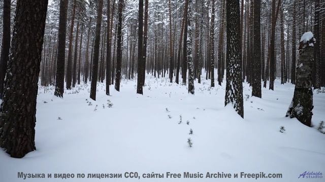 Леса и поля под этот трек - взрыв ощущений - 02 Overthrow -- Shaolin Dub -- Preservation