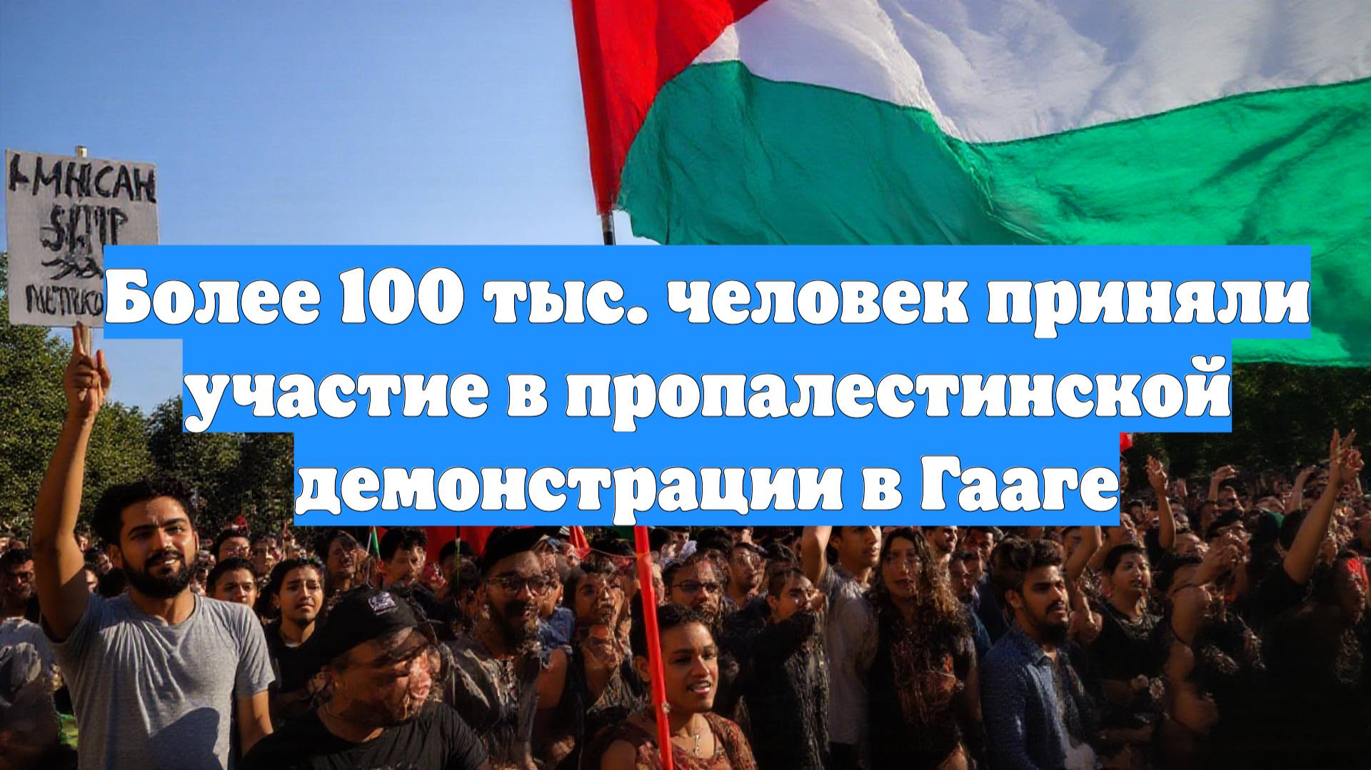 Более 100 тыс. человек приняли участие в пропалестинской демонстрации в Гааге