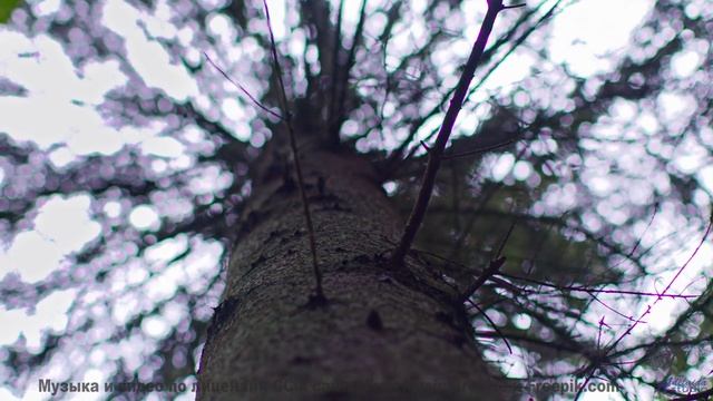 Вы никогда не слышали ничего подобного - это взорвет ваш разум! - Pray (makaih.com) -- Makaih Beats