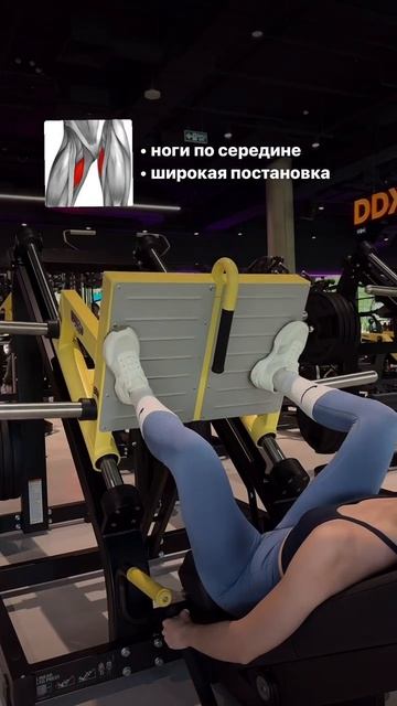 Спорт, фитнес