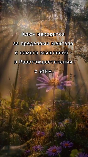 Яна Корнилова