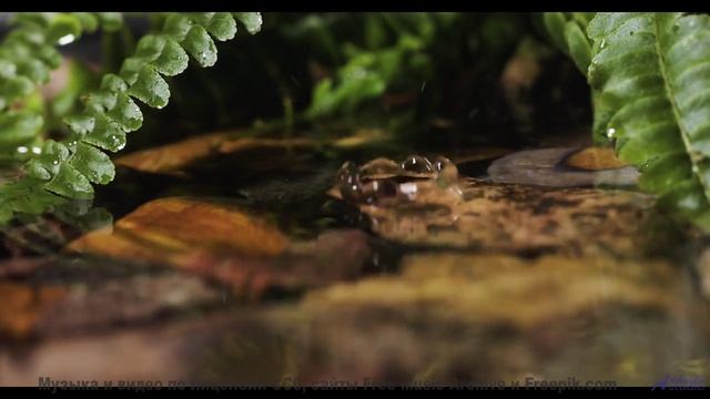 Океан звуков и бескрайние дали! - Horsey -- Overhill Ln -- OPULENT