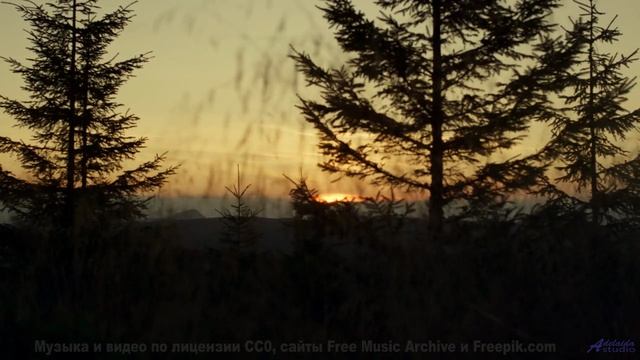 Вы такого не видели - природа под этим хитом - Thinking -- Duncan Reid and the Big Heads -- Live at