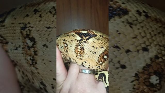 Любуюсь Мигеллой!
