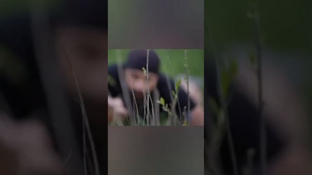 VID-20250613-WA0368