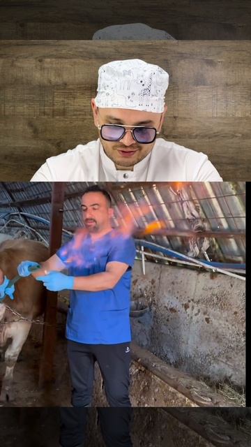 Огненное шоу в исполнении коров 🐄