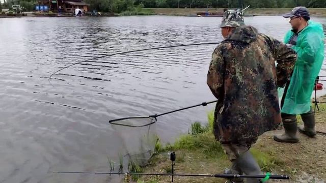 карп