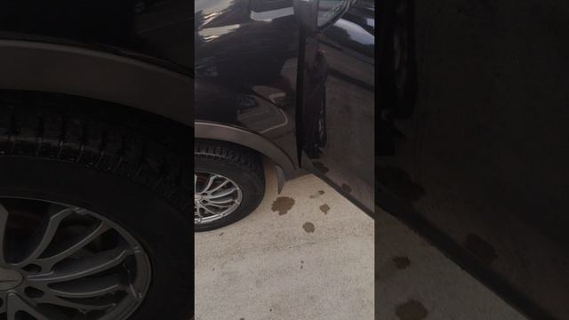 1000134135.mp4