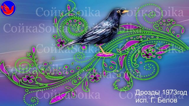 Дрозды 1973 год (Голосиста пташка, да черна рубашка. (дрозд) В.И.Даль Сущность-наружность)