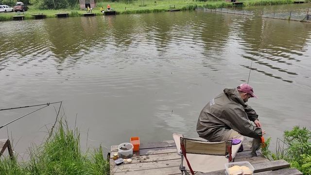 Светлые Горы Карп2 15.06.2025г.
