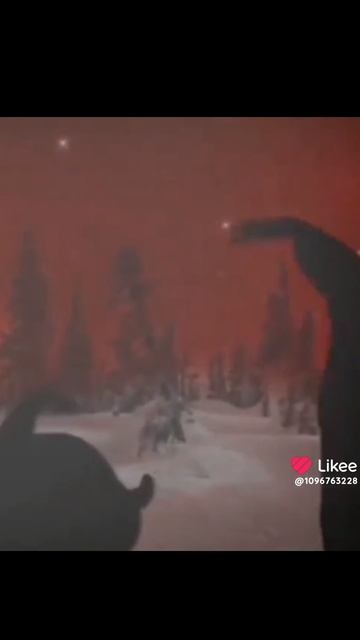 белая ночь