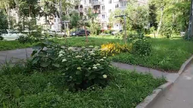 1000008524.mp4