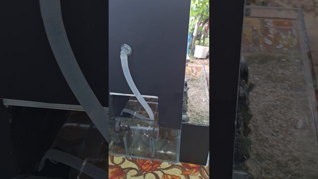 1000008647.mp4