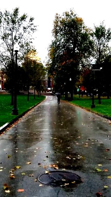 Камера не прощает
