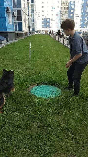 VID_20250419_165936.mp4