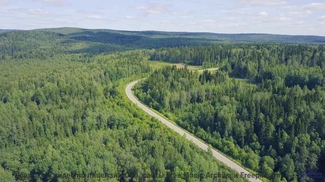 Природа в спектрах, невидимых человеческому глазу - технологии открывают тайны! - Pumpernickel Parad