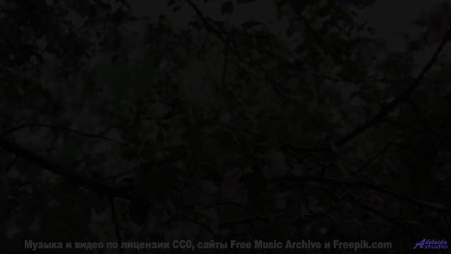 Вам такого не показывали - природа и музыка - Driving -- Kirk Osamayo -- Season Two (ORANGE)