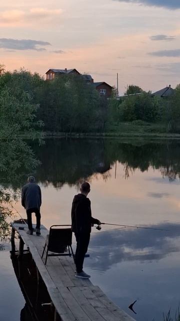 Вечерка перед сном
