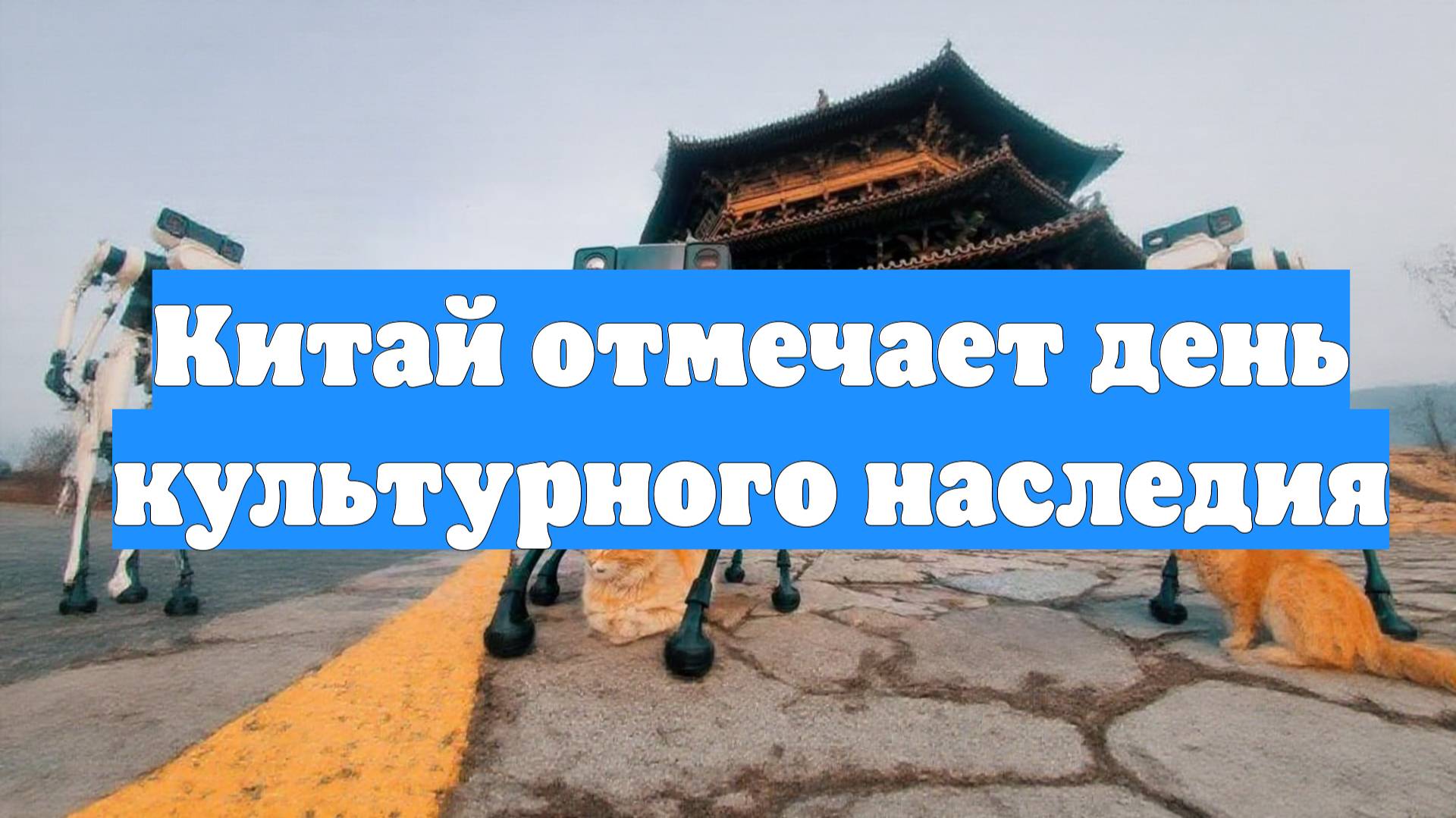 Китай отмечает день культурного наследия