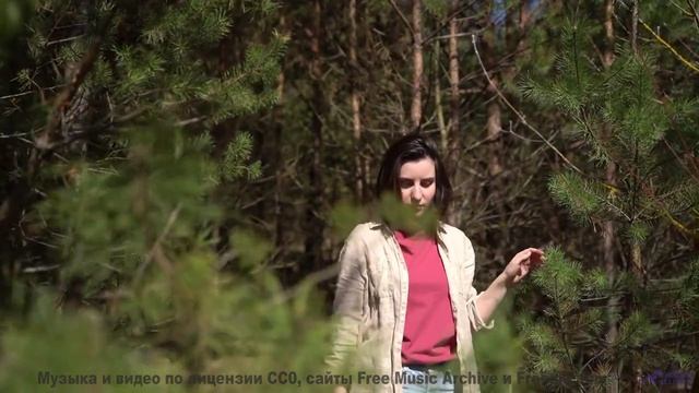 Леса и поля раскрываются под эту мелодию - Me and You -- Derek Clegg -- Old Town Worry