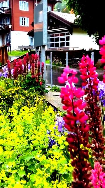 Камера сняла момент, который изменил всё