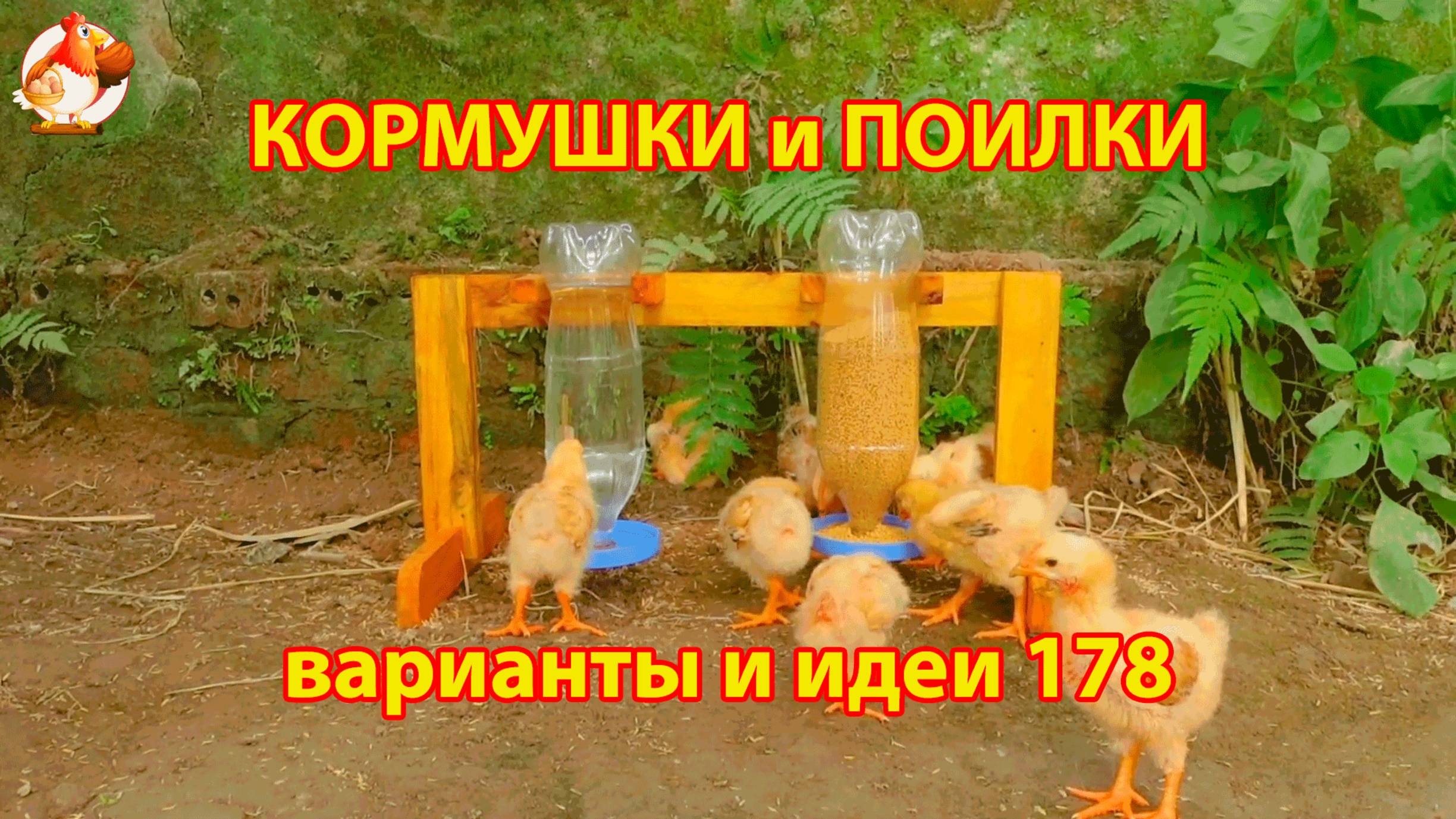 Кормушки и поилки для кур своими руками (178) 🪚✂️ Пошаговая инструкция как сделать 🐔 🐓❣️