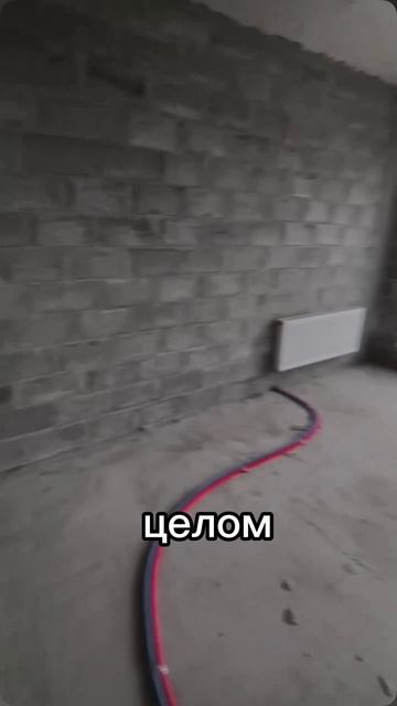 #рекомендация