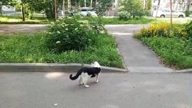 1000008569.mp4