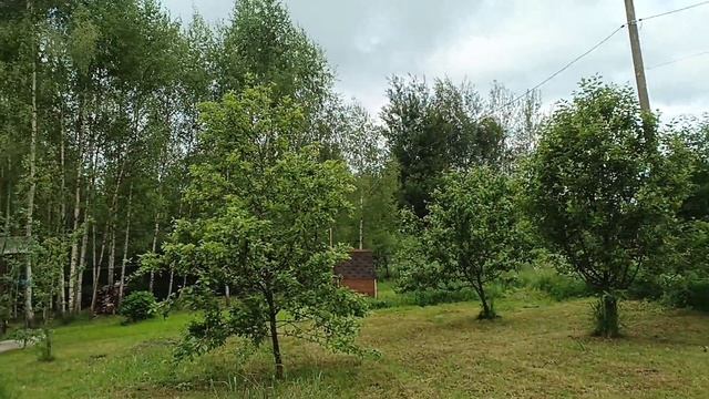 Экскурсия на Страусиное Ранчо