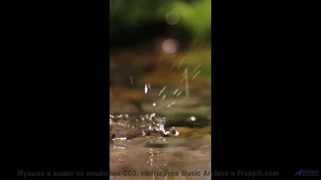 Музыка, в которой тонет сердце! - Desolation And Desperation -- Kirk Osamayo -- Season Two (YELLOW)